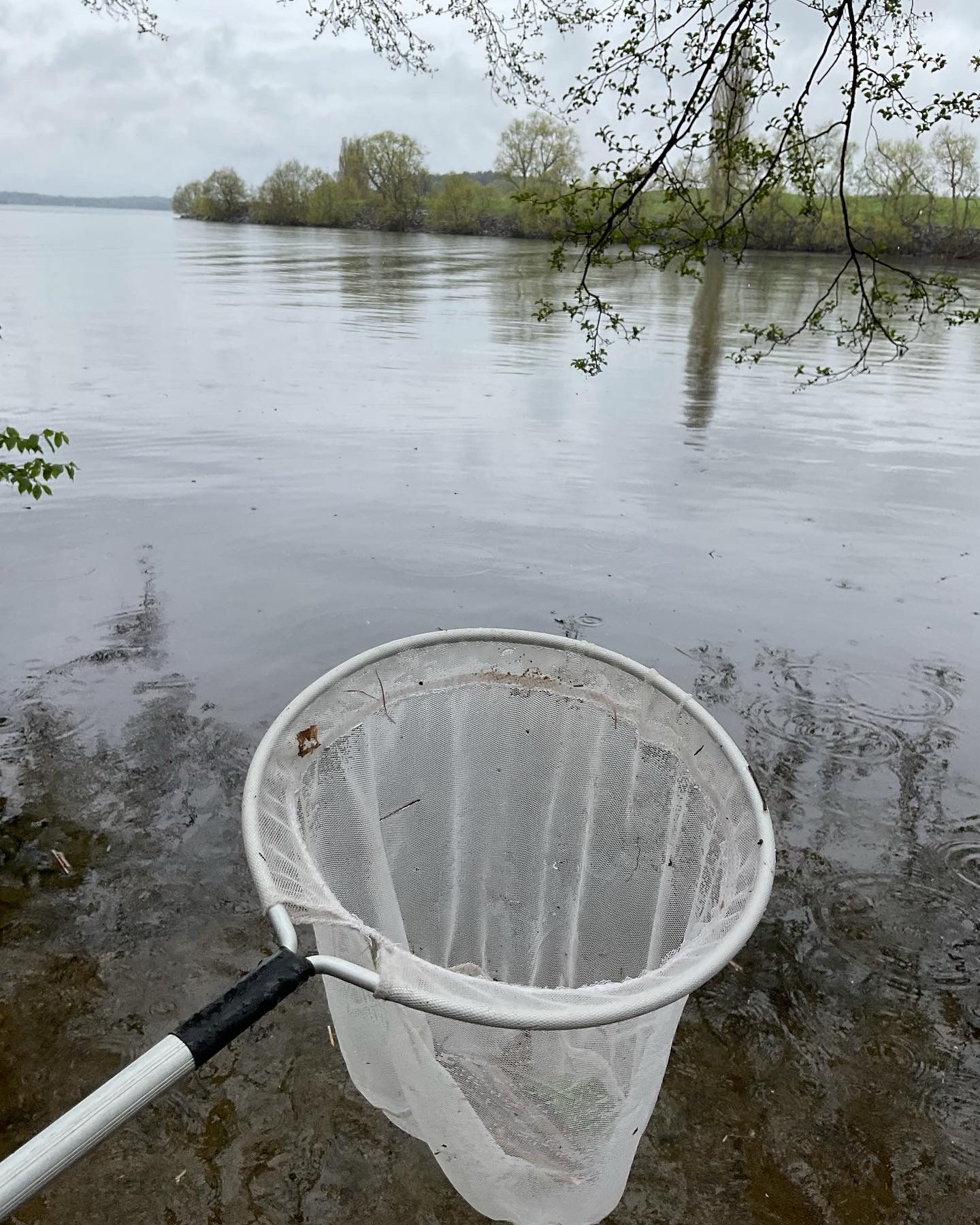 Frilufts Förskolor Gläntan
