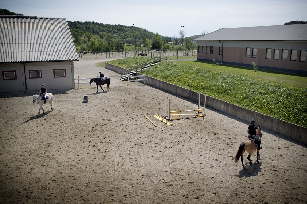 Sveriges Ridgymnasium Kungsbacka